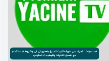 أساسيات.. تعرف على طريقة تثبيت تطبيق ياسين تي في وشروط الاستخدام مع أفضل القنوات والبطولات المتوفرة